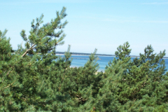 2007_prerow_18_20100527_1224033972