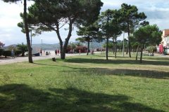 2010_argeles-sur-mer_10_20100808_1950768423