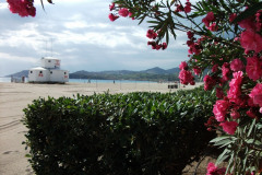 2010_argeles-sur-mer_11_20100808_1625967091