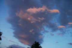 2010_argeles-sur-mer_25_20100808_1032510413