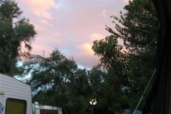 2010_argeles-sur-mer_26_20100808_1528508291