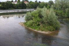 2010_argeles-sur-mer_31_20100808_1129016116