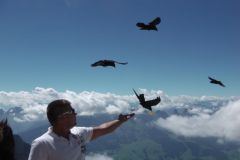 2013_kreuzlingen_30_20130826_1072151169