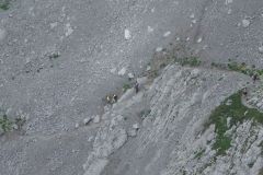 2013_kreuzlingen_36_20130826_1187307892