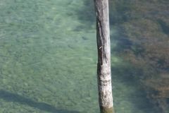 2013_kreuzlingen_52_20130826_1549526479