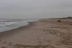 2015_herbst_niederlande_27_20151225_1631654011