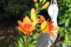 2015_ostsee-camping_fam_heide_waabs_14_20151004_1629492900