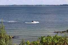 2015_ostsee-camping_fam_heide_waabs_38_20151004_1216165811