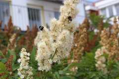 2015_ostsee-camping_fam_heide_waabs_3_20151004_1704707270
