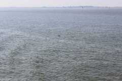 2016_neuharlingersiel_21_20160829_1661627084