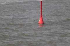 2016_neuharlingersiel_28_20160829_1210202408