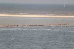2016_neuharlingersiel_32_20160829_1223952145