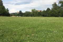 2017_sommer_1_20170924_1897255092