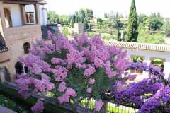 2018_sommer_42_20180822_1073201190