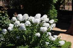 2018_sommer_45_20180822_1865050896