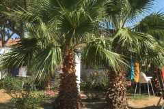 2018_sommer_75_20180822_1459393324