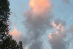 IMG_1562