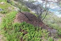 2019_skandinavien_nordwaerts_4_20190815_1802316055