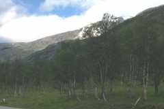 2019_skandinavien_nordwaerts_57_20190815_1113875261