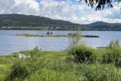 2020_deutschland_13_20200827_1882921832