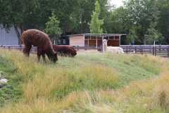 2020_deutschland_2_20200827_1998001358