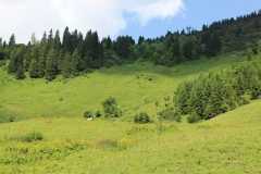 2021_deutschland_-_kleinwalsertal_19_20210804_1999740359