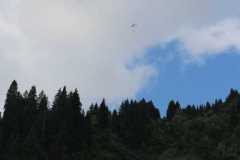 2021_deutschland_-_kleinwalsertal_20_20210804_1890412833