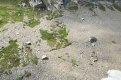 2021_deutschland_-_kleinwalsertal_43_20210804_2056680324