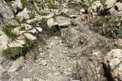 2021_deutschland_-_kleinwalsertal_46_20210804_1987098750