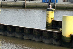 Ein Gast im Hafen