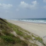 2000_lit-et-mixe_frankeich_20100425_1085530283