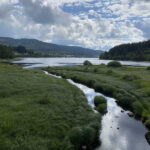 2020_deutschland_12_20200827_1981154661